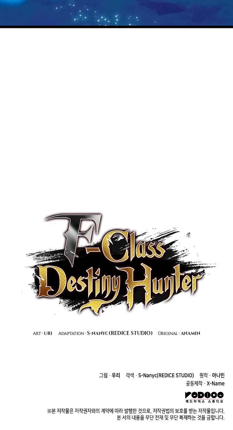 F-Class Destiny Hunter