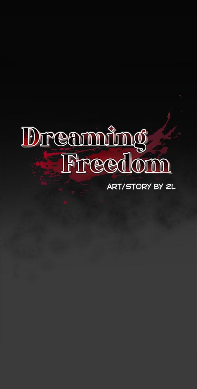 Dreaming Freedom