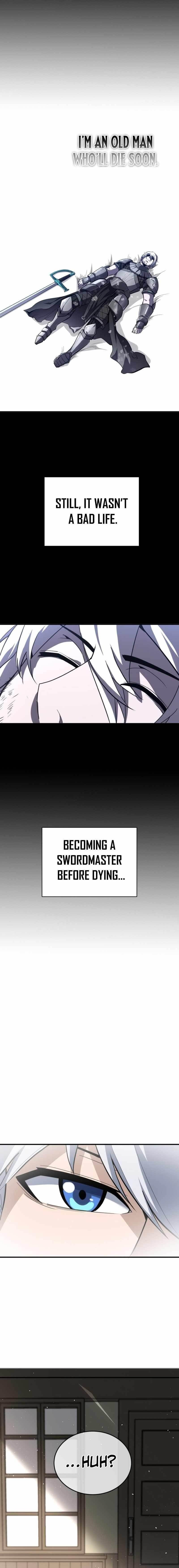 Reincarnation of the Sword Master