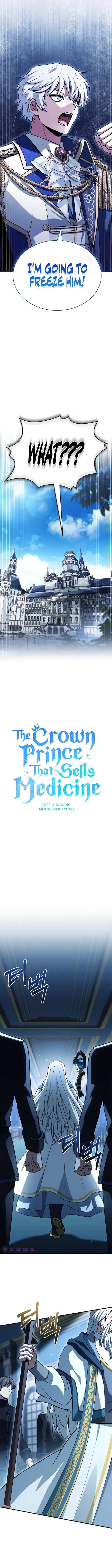 The Crown Prince That Sells Medicine